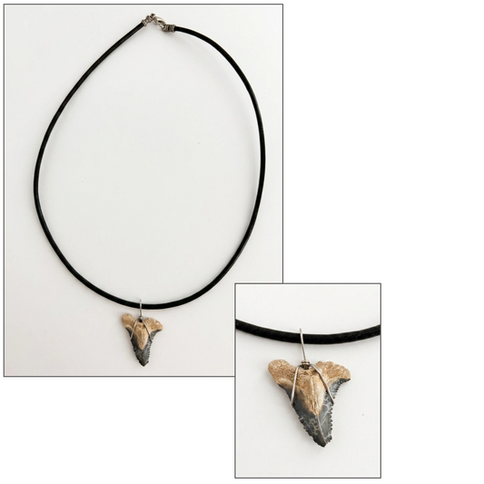 Black leather choker necklace with a fossilized shark's tooth as a pendant, on a white background.