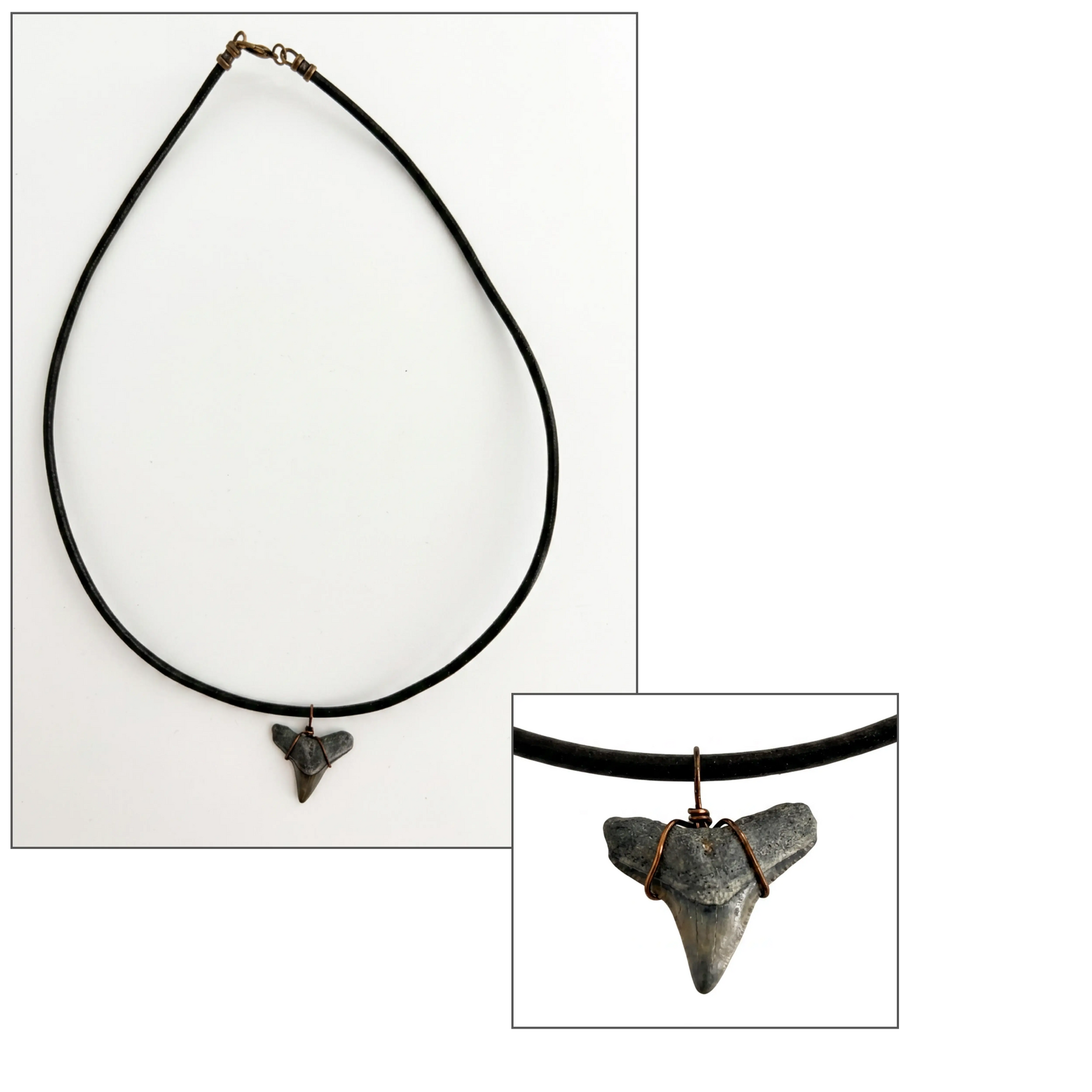 A fossilized shark tooth pendant necklace on a black cord, shown on a white background with a close-up inset of the pendant and clasp.