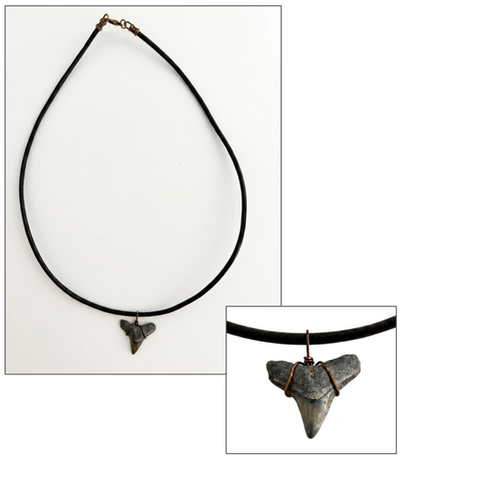 A fossilized shark tooth pendant necklace on a black cord, shown on a white background with a close-up inset of the pendant and clasp.