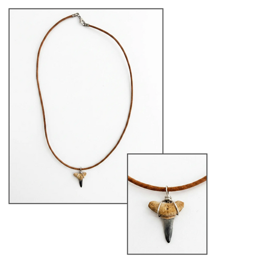 Brown leather cord necklace with a fossilized shark tooth pendant, laid flat on a white background.